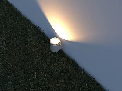 Small Modern Outdoor Light Illuminating Wall In Green Grass Area 3d model