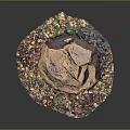 Circular Natural Decor With Stone Center And Wood Chips Surrounding Green Plants