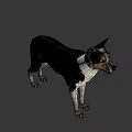 Realistic Game Movie Character Dog With Black White Coat Standing Pose