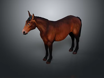 Realistic Detailed Brown Horse Standing In Side View On Gray Background 3d model