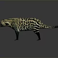 Realistic Striped Animal 3D Model With Yellow Black Fur And Standing Pose