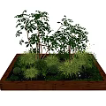 Lush Garden Plants In Wooden Planter Box With Various Green Grasses
