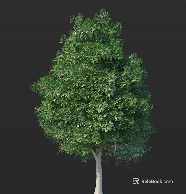 Lush Green Arbor with Dense Vibrant Foliage and Brown Trunk Against Dark Background 3d model 