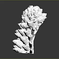 White Textured Plant Sculpture with Detailed Protrusions on Black Polished Surface and Reflection