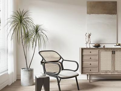 Rattan Accent Chair with Black Frame in Cozy Interior with Green Plant and Wooden Cabinet 3d model
