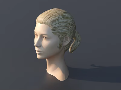Model Head With Blonde Hair In Ponytail 3D Rendering Side View 3d model