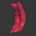 Red Human Organ Sculpture With Hairy Surface Displayed On Black Background