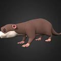 Aquatic Animal 3D Model Brown Otter With White Belly Standing Pose On Black Background