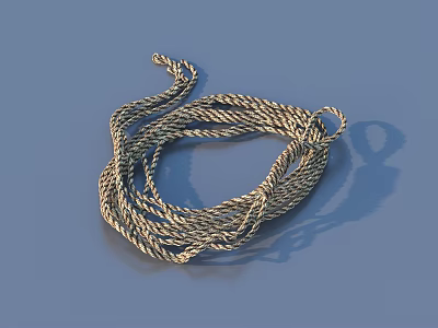Durable Two Tone Braided Rope For Everyday Household Use And Decor 3d model