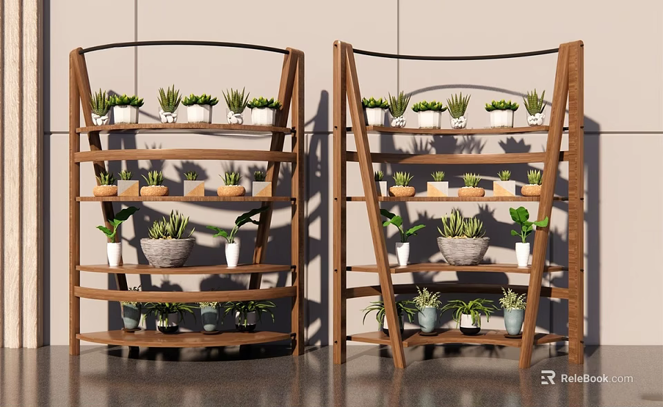 Bonsai Potted Plants On Wooden Multi tiered Arc Shaped Indoor Shelves 3d model 