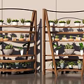 Bonsai Potted Plants On Wooden Multi tiered Arc Shaped Indoor Shelves