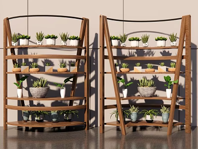 Bonsai Potted Plants On Wooden Multi tiered Arc Shaped Indoor Shelves 3d model