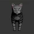 Gray Tabby Cat With Green Eyes Standing On Dark Background With Reflection 3d model
