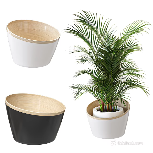 Stylish Garden Planters With Palm Plant White Black And Wooden Trim 3d model 