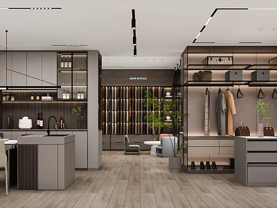 Modern Interior Space With Gray Cabinets Shelves Hanging Clothes And Bags Wooden Flooring Display Area 3d model
