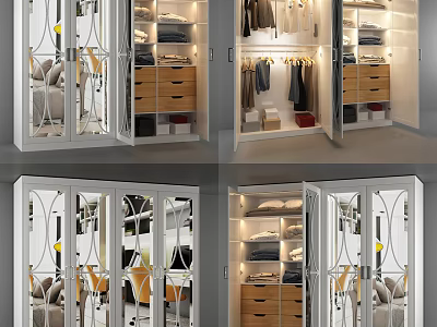 Modern Wardrobe Interior With Glass Doors Hanging Clothes And Storage Drawers 3d model