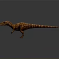 Two Vibrant Dinosaurs Standing With Long Tails And Distinct Color Patterns