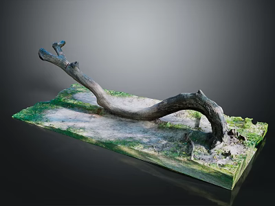 Natural Curved Wood Branch Decorative Ornament On Green Gray Stone Base 3d model