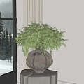 Modern Green Plant Bonsai 3d model