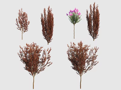 Brown Foliage Decorative Arbor Trees With Central Purple Flower Plant 3d model