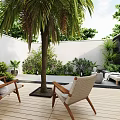 Courtyard Garden With Wooden Deck Palm Tree Lounge Chairs And Green Plants