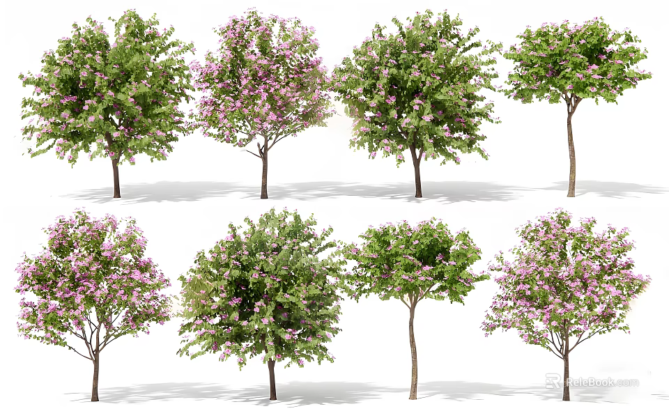 Various Flowering Ornamental Shrubs With Green Foliage And Pink Blooms For Garden Landscaping 3d model 