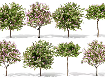 Various Flowering Ornamental Shrubs With Green Foliage And Pink Blooms For Garden Landscaping 3d model