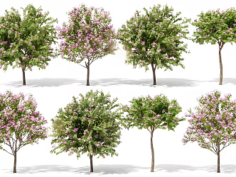 Modern Style Trees 3d model
