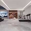 Entertainment Room Interior With Fitness Equipment Yoga Balls Treadmill And Wooden Storage