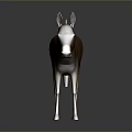 Realistic Brown Donkey Standing With Natural Fur And Ears On Dark Background
