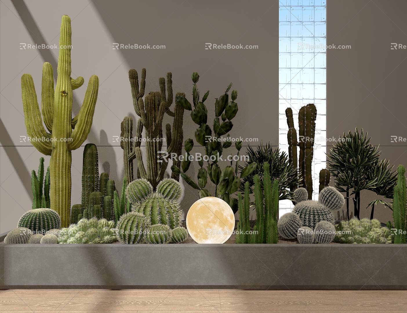 Cactus Courtyard Landscape Courtyard Landscape 3d model