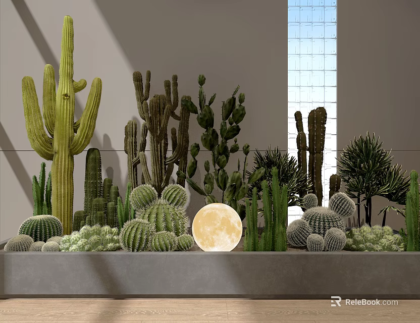 Cactus Garden With Various Cactus Plants Full Moon Gray Wall And Large Window 3d model 