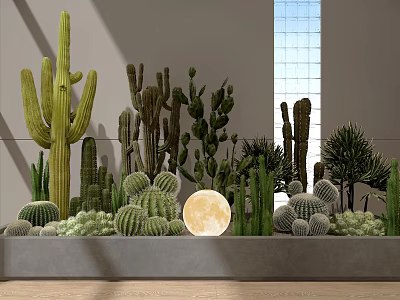 Cactus Garden With Various Cactus Plants Full Moon Gray Wall And Large Window 3d model