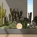 Cactus Courtyard Landscape Courtyard Landscape 3d model