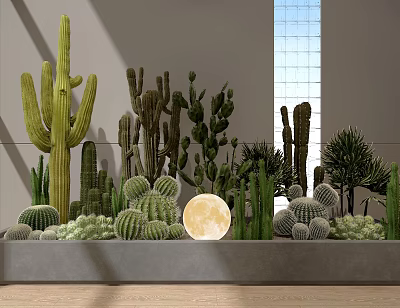 Cactus Garden With Various Cactus Plants Full Moon Gray Wall And Large Window 3d model