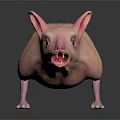 Pink Hairless Animal With Large Ears Sharp Teeth And Frightening Expression On Dark Reflective Surface