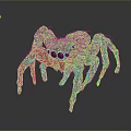 Brown Hairy Spider With Multiple Long Legs And Black Eyes