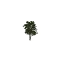 Home Decor Ornament Decoration Set With Two Pine Trees Green Leaves And Natural Trunk Design