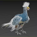 Blue Bird with Black Crested Head Yellow Beak Red Facial Patch Standing on Green Grass