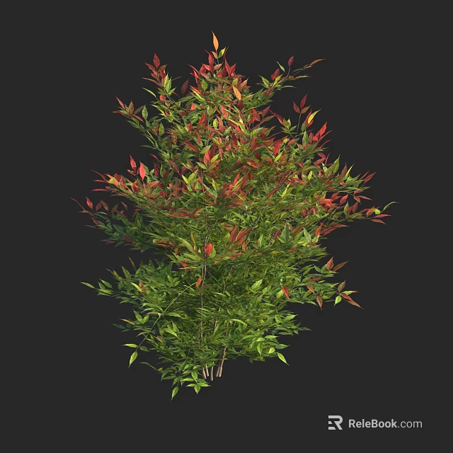 Vibrant Lush Shrub With Green And Red Leaves In Garden Landscape 3d model 