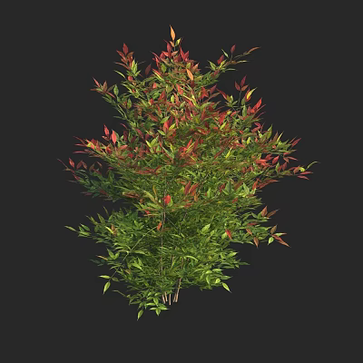 Vibrant Lush Shrub With Green And Red Leaves In Garden Landscape 3d model