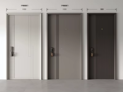 Modern Anti-theft Door Sub-mother Door Entry Door Single-opening Anti-theft Door Villa Door 3d model