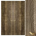 Modern Double Doors With Wood Grain Texture And Brass Handle Details