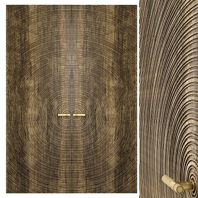 Modern Double Doors With Wood Grain Texture And Brass Handle Details 3d model