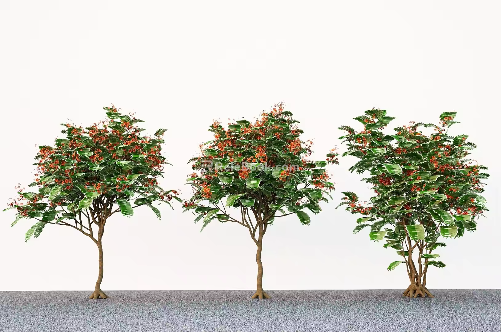 Modern landscape buttercup tree garden flowering tree 3d model