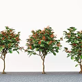 Modern landscape buttercup tree garden flowering tree 3d model