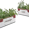 Bonsai Potted Plants in White Red Rectangular Planters with Various Green Plants Featuring LOGO