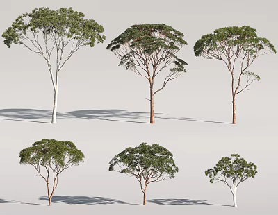 Different Types of Arbor Trees with Varied Trunk Colors and Green Crown Shapes 3d model