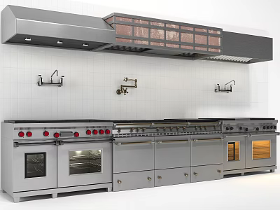 Stainless Steel Stove As Centerpiece In Modern Open Kitchen Interior Design 3d model