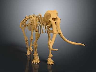 3D Printed Yellow Mammoth Skeleton Model For Medical Educational Device 3d model